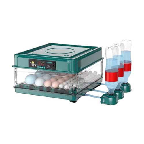 Ornatego SCLx[^[FxE]E@\ōzBdpdd݌vB6?130̑lȗTCYɑΉƒpzuB (12 S_ud)