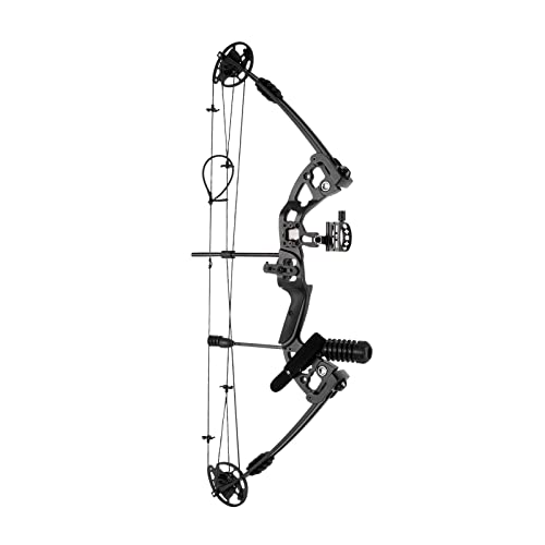 YUNLAIGOTOP Compound Bow for Adults, Archery Compound Bow Set with 12 Arrows & 3 Pin Lighted Sight, Compound Bow and Arrow, Fully Adjustable Hunting Compound Bow for Outdoor Competition, Hunting