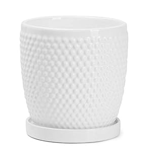 POTEY White Planters Pots for Plants Indoor 053601 55 Inch Glazed Ceramic Modern Vintage Style Hobnail Textured Planters Bonsai Container with Drainage Hole SaucerPlants Not Included