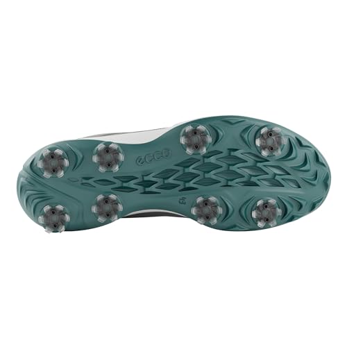 Image of ECCO Golf Biom Tour
