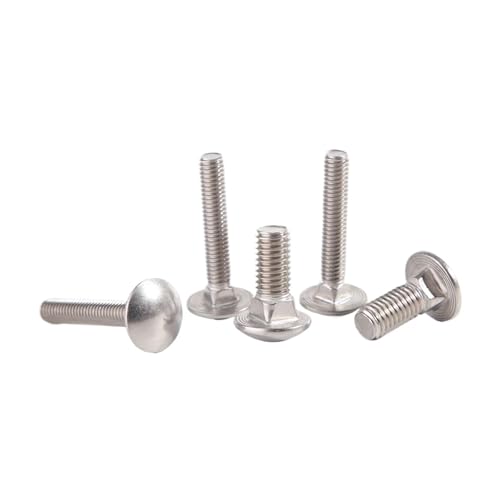 2-10 A2 LbW{g M4 M5 M6 M8 M10 304 XeXX`[ ۓ plW R[` DIN603 QAICHFKS(12mm,M6 10PCS)