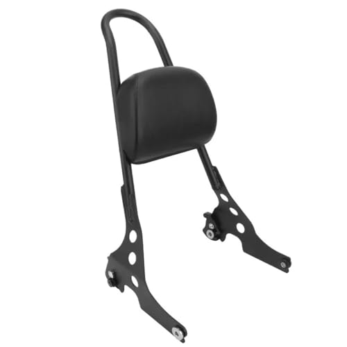 Accessoires moto dossier arrière amovible Sportster XL 1200