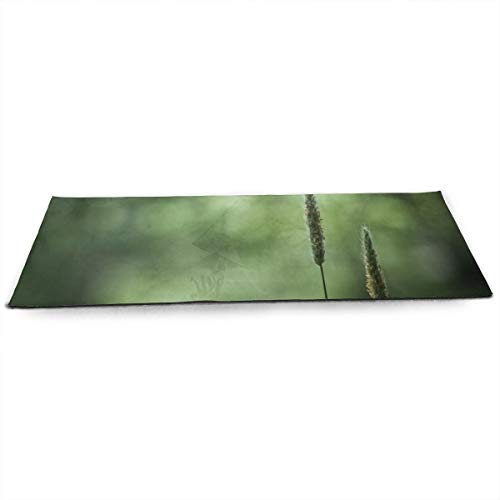 TJKK Sticky Yoga Mat - 180cm x 61cm x 4.5mm，Nature Flower Garden Wild Drop Macro Cosmos Pink