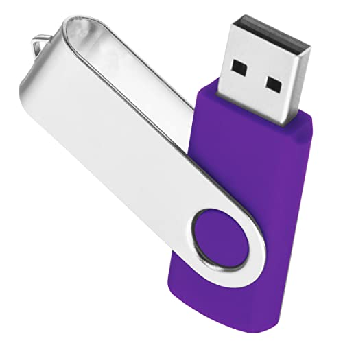 Image of 1GB USB Flash Drive 1PCS, EASTBULL USB 2.0 Thumb Drive Swivel USB Stick Memory Stick Metal Thumb Drives (Purple)