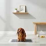 QUAHEAS Vliesstoff Haustier Trainingspad 50 Stück 60 x 60 cm, saugstark und auslaufsicher mit geruchsbindender Matte für Welpe, Hund, Katze, Bodenschutz, Stubenreinheit und Hygiene im Auto