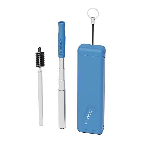 Telescopic Straw with Brush and Case by EcoVessel