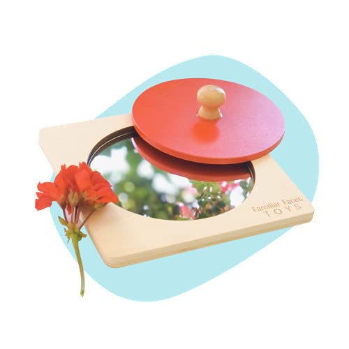 Familiar Faces Toys Montessori Mirror Peekaboo Knob Puzzle #TOP1