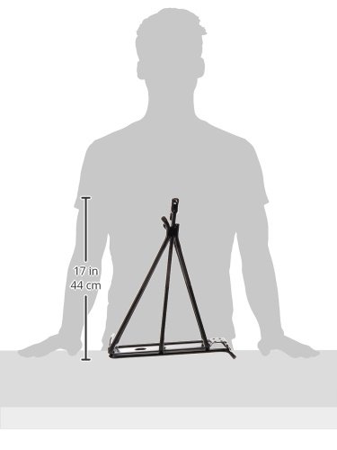 Topeak Babyseat Ii Disc Mount Bike Rack, 29-Inch #TOP2