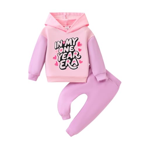 Klyatpxoen 6 12 Months Infant Baby Girl 2Pcs Color Block Sweatshirt Pants Set Hoodie with In My One Year Era Print (Purple, 6-12 Months)