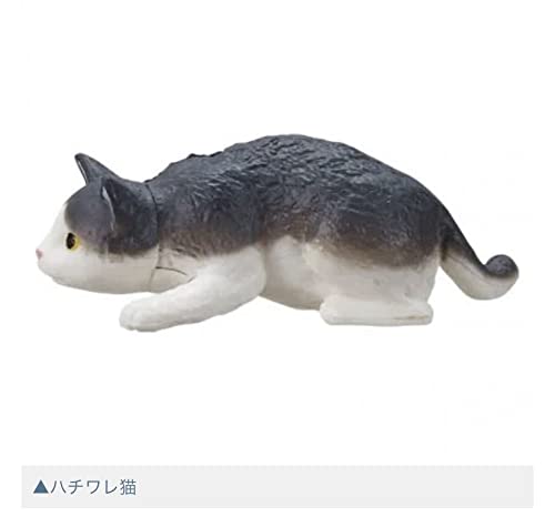 Amazon.co.jp: ミニチュアフィギュア うちの猫 その2 ガチャガチャ