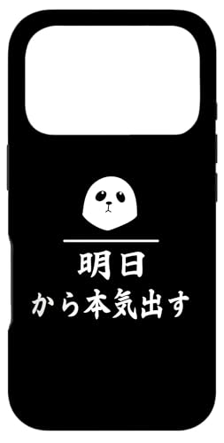 p_ 蕨  {Co av[g l^   {C Ȃ X}zP[X iPhone 17 Pro p