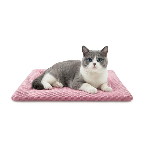Dog Bed Mat Dual-Sided Dog Crate Bed Mat - Ultra Soft & Machine Washable Kennel Pad for Cats and Extra Small Dogs All-Season Comfort Pet Bed for Crates Travel and Home Pink 18 x 14 Inch