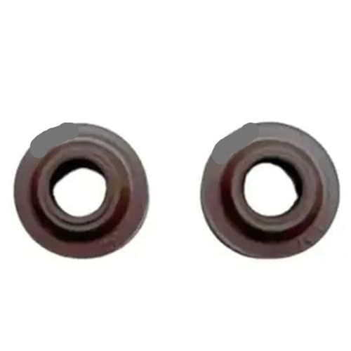 Joints de queue de soupape anti-fumée pour quads CF850 et SSV CF1000