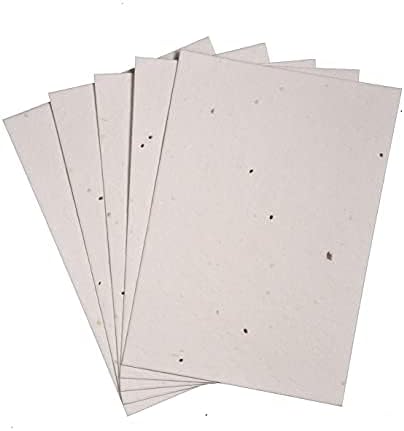 Kavya Craft Present Basil Seed Paper Sheets (Postcard Size 6"x4") (20)