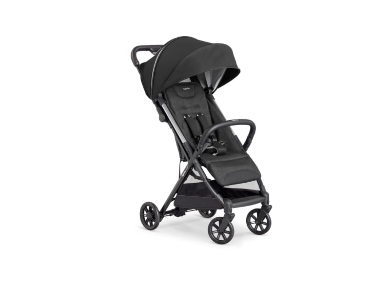 Amazon.co.jp: Inglesina QUID2α イングリッシーナ クイッド2α 【日本