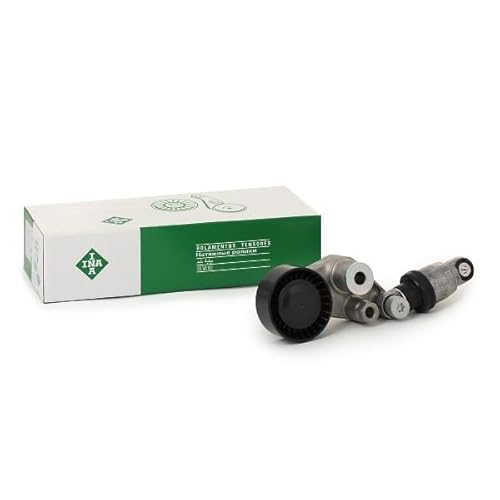 Ina 534 297 10 Tendicinghia - 2