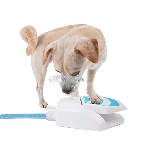 All for Paws Outdoor Dog Sprinkler Paw Activated Dog Step On Water