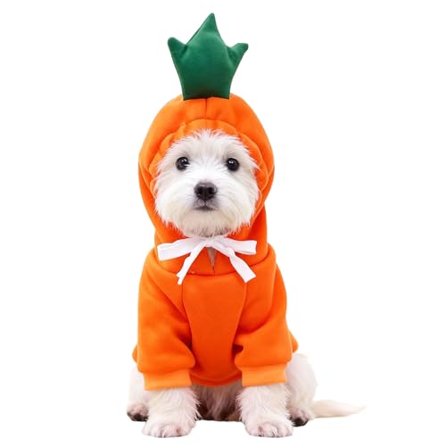 Qingwing Zanahoria Disfraces para Perro Navidad, Talla L Fruta Disfraz Perro Mascotas Elegante Sudadera Lindo Zanahoria Disfraz Mascotas, para Tomar Fotos Paseo Víspera de Todos Los Santos
