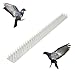 Produktbild Holtaz Robuste Taubenabwehr Spikes - Effektive Vogelabwehr für Balkon und mehr - in 7 Farben erhältlich Vogelabwehr aus Kunststoff für Katze, Marder, Taube - Transparent