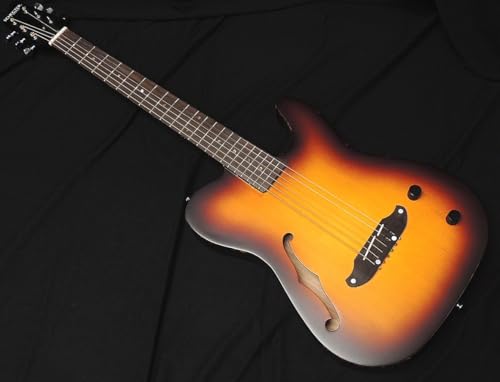 値下げしました❕希少! Schecterエレアコ（オベーションタイプボディー） シェクター エレアコ」の人気商品一覧 | 安い商品を通販サイトから探す