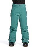 Volcom Frostique Insulatedulated Pants M