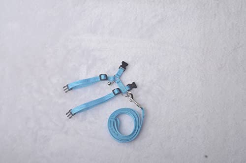 Image of Adjustable Hedgehog Harness for Training Playing Traction Rope Small Animal Pet Outdoor Play (Blue, Fit Small pet)