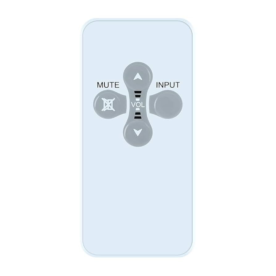 Amazon.com: ZWP Replacement Remote Control Compatible for