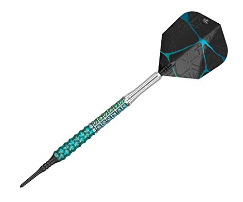 Target Elysian 6 95% Soft Darts 20 g: Amazon.de: Sports & Outdoors