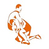 Gravuraufkleber Sport, Kampf, Kampfkunst 34x41.3cm Änderungen und Informationen möglich Orange