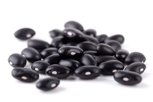 Cherokee Trail of Tears Bean Seeds for Planting (20 Seeds) - Delicious and...
