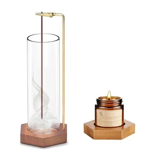 [MoZoo] �������� ���F ���M �������� �C���Z���X�z���_�[