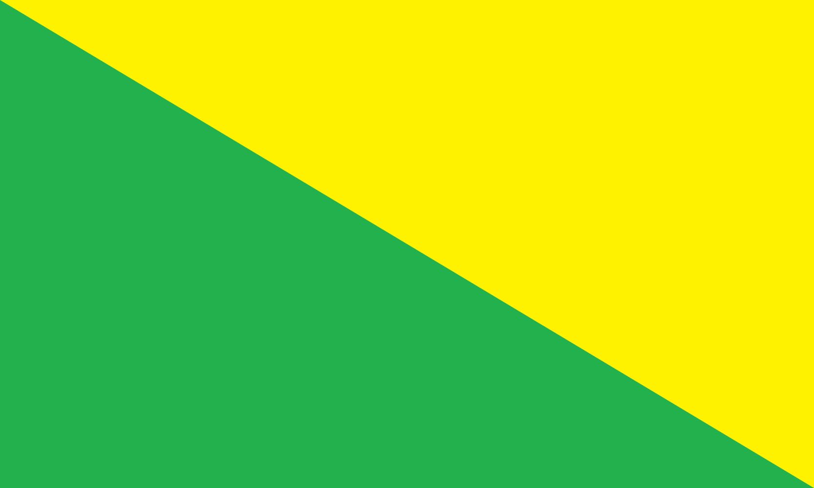 Drapeau Large Alianza Sancarleña Costa pavillon tissu extérieur