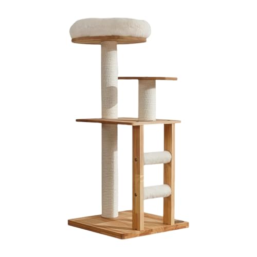 Lb L^g^[ FD-LbgnEX ^Lp bVW]-Lbg^[ u ˂nEX ؐ  萫 ۊp݌v fUC ȃXy[X (C1)