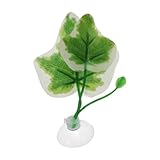 CAPASTEC Betta Fish Leaf, Natural Habitat Simulation for Betta Spawnings Grounds, Betta Spawnings Leaves, Resting Bed, Large Small Leaves, White Green