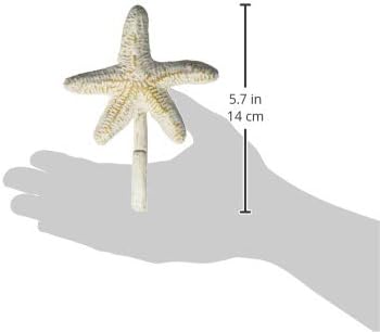 Park Designs Starfish Single Hook