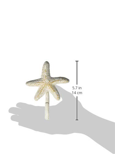 Park Designs Starfish Single Hook - Image 5