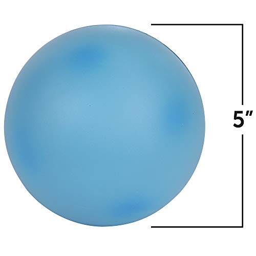 Image of Learning Resources Cross-Section Animal Cell Model