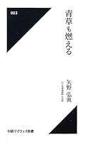 Green grass and burning (in via My Way Books) (2011) ISBN: 4885201497 [Japanese Import] 4885201497 Book Cover