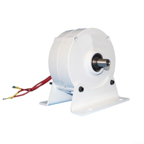 Jonikuper Generador de viento síncrono de 3 fases con motor magnético permanente, 100 W, 12 V/24 V, 50 Hz para uso industrial, con alta eficiencia y bajo nivel de ruido (24 V)