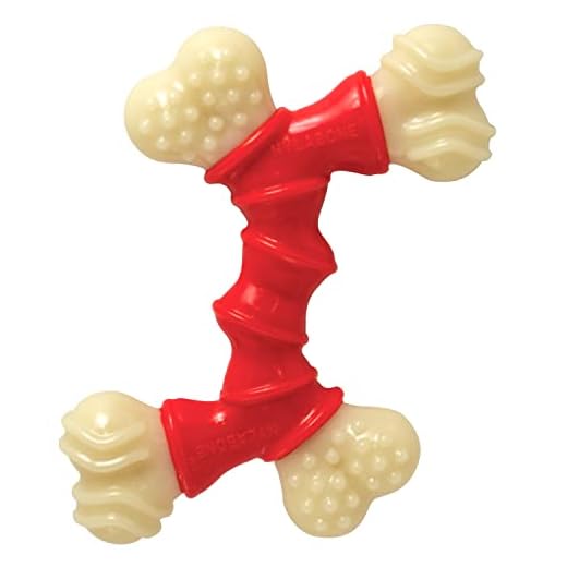 Nylabone - Double Bone