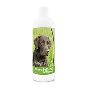 Healthy Breeds Labrador Retriever Avocado Herbal Dog Shampoo 16 oz