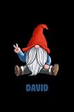  David Notebook: Personalized Notebook With Name For David, Gnomes Notebook, Birthday Gift For Boys and Men, 6x9, 110 College Ruled Page, Gnomes Cover, Journal For Men, Kids, Students and Coworker