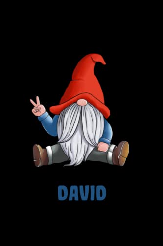  David Notebook: Personalized Notebook With Name For David, Gnomes Notebook, Birthday Gift For Boys and Men, 6x9, 110 College Ruled Page, Gnomes Cover, Journal For Men, Kids, Students and Coworker