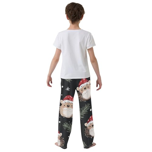 ZZXXB Christmas Hedgehog Snow Boys Long Pants Soft Trousers Elastic Waist Kids Lounge Bottoms with Pockets S-XL3
