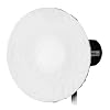 Fotodiox Pro 16in (40cm) All Metal Beauty Dish with Balcar (Alien Bees / Einstein / White Lightning) Insert - Soft White Interior