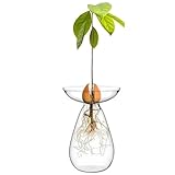 bureau angle verre ikea Stable et réutilisable : fabriqué à partir de matériaux de qualité, ce vase résiste à une utilisation et un nettoyage fréquents, offrant un support à diverses plantes hydroponiques