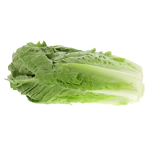 Lettuce Romaine UAE 1pc 500g