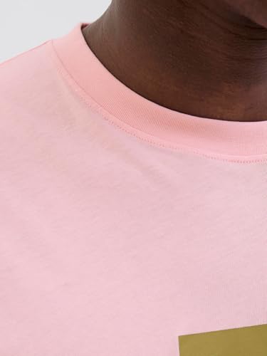 Vêtements Jack & Jones JORFREDERIKSBERG BOX SCRIPT TEE SS CN LN pour Accessoires - vue 6