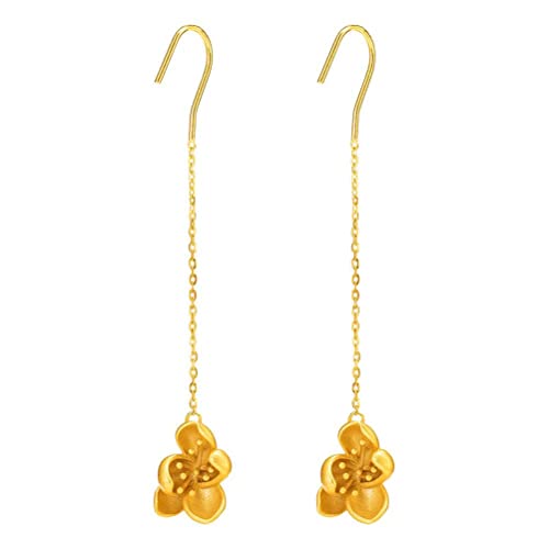 Boucles d'oreilles S925 anti-allergie longues et légères en argent