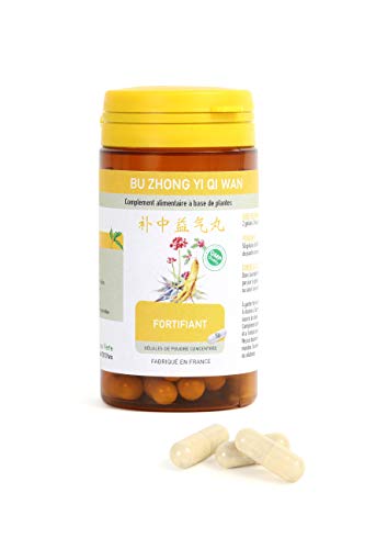 Preisvergleich Produktbild Bu Zhong Yi Qi Tang Ene Energiestärkung
